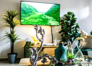 Assistencia tecnica